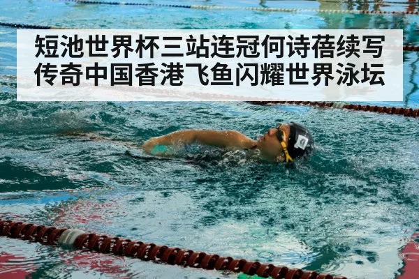 female swimmer freestyle